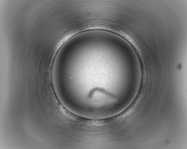 X0000091951145200709131159