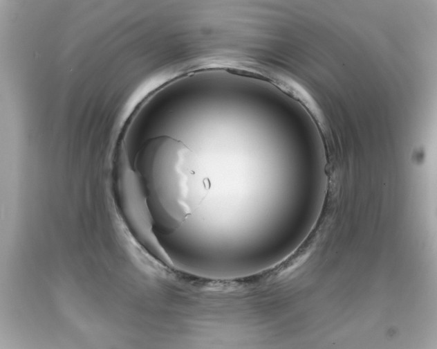 X0000091951146200709131159