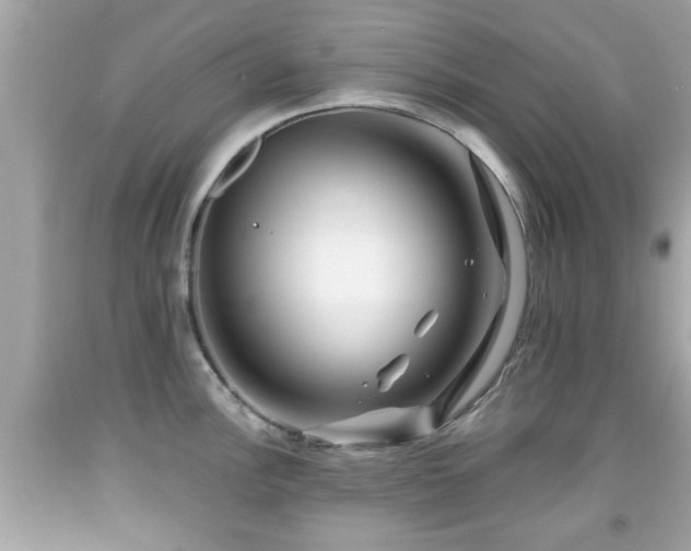 X0000091951148200709131159