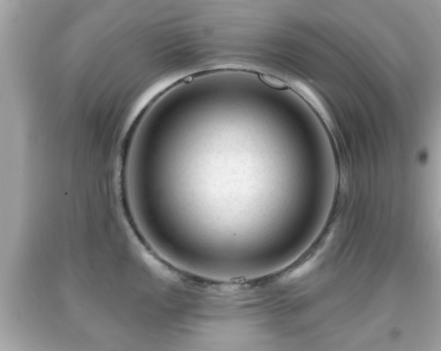 X0000091951149200709131159