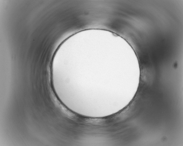 X0000091951150200709131159