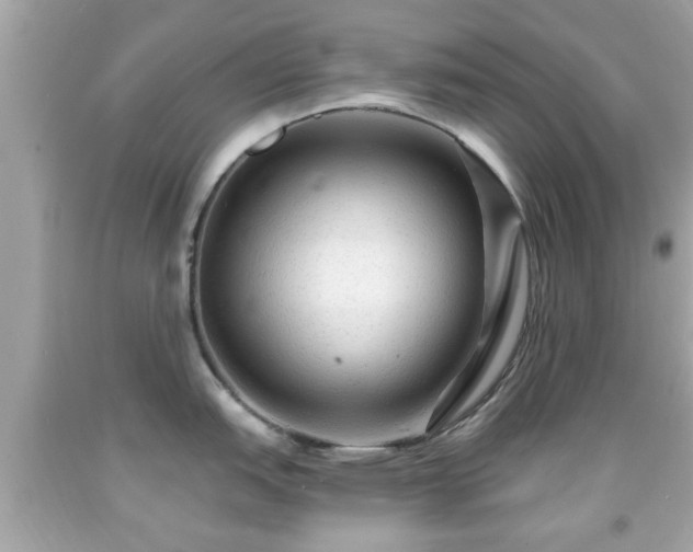 X0000091951151200709131159