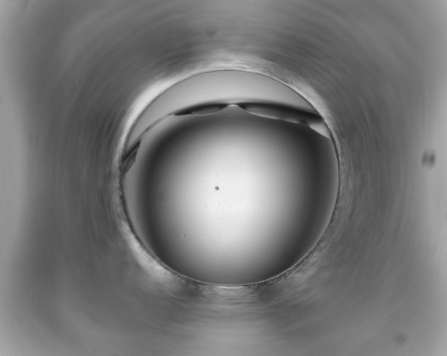 X0000091951152200709131159