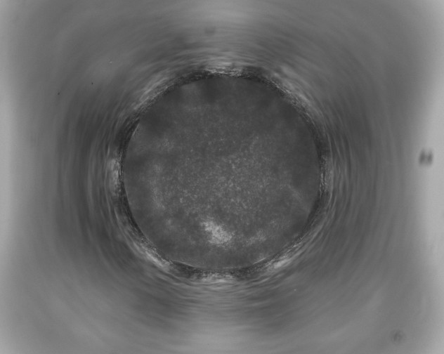 X0000091951154200709131158