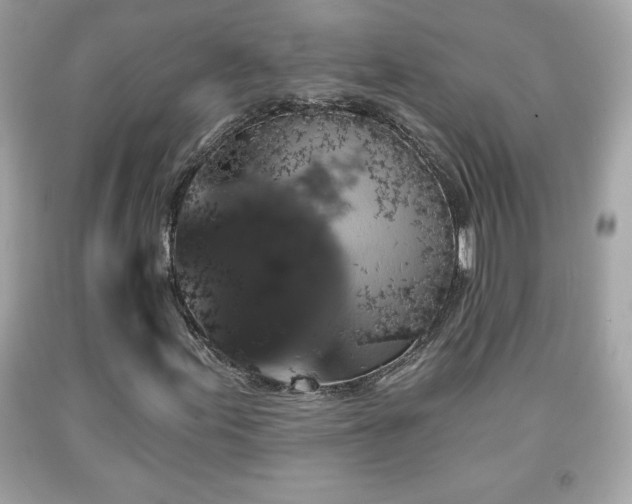 X0000091951155200709131158