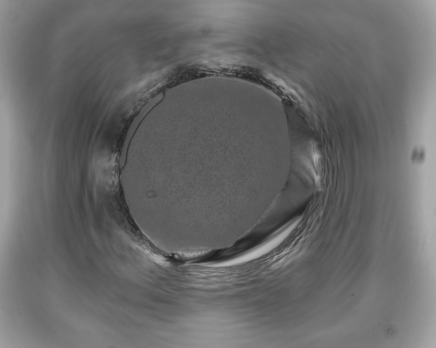 X0000091951156200709131158