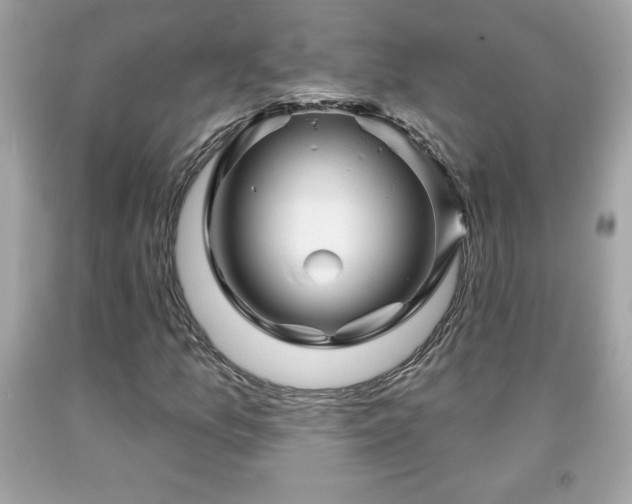 X0000091951157200709131158
