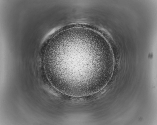 X0000091951159200709131158