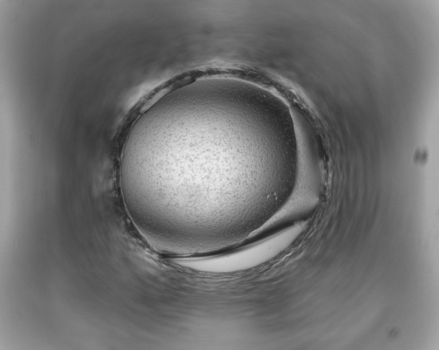 X0000091951160200709131158