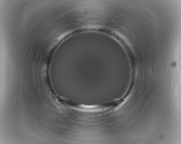 X0000091951161200709131158