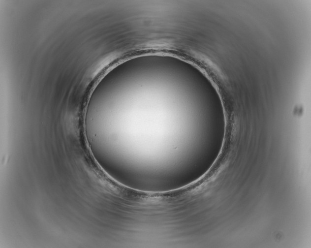 X0000091951162200709131158