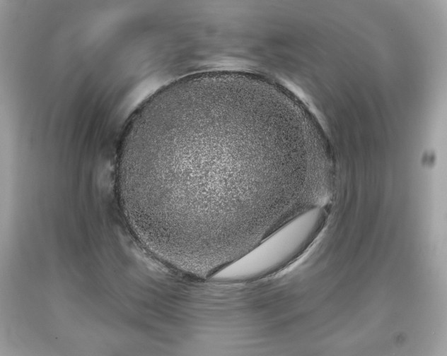 X0000091951163200709131158