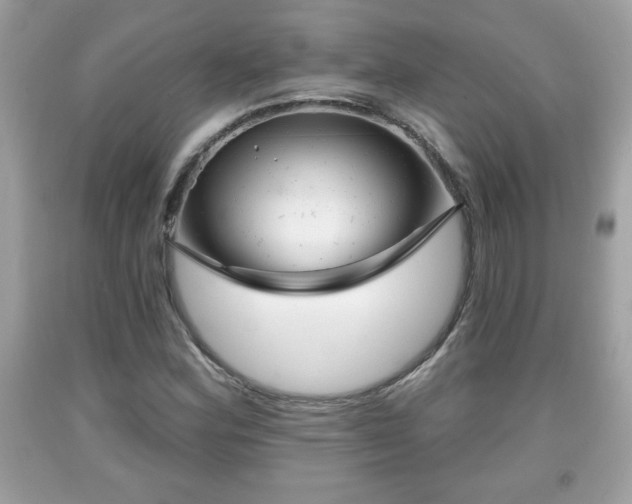 X0000091951164200709131158