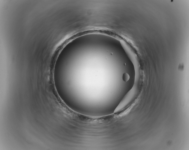X0000091951165200709131158