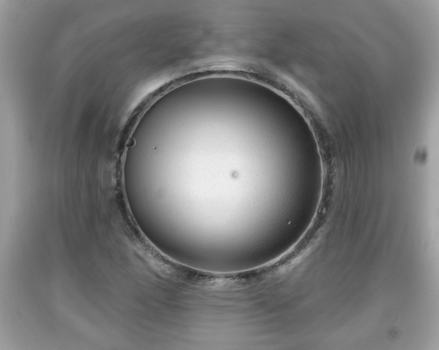X0000091951166200709131158