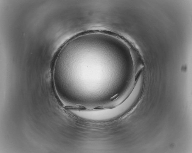 X0000091951167200709131158
