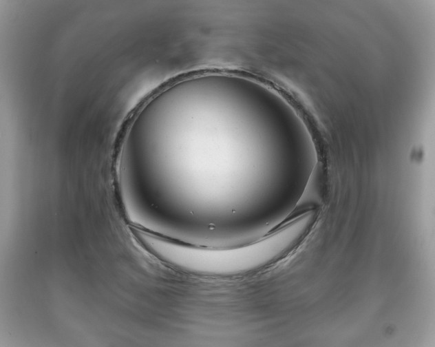 X0000091951168200709131158