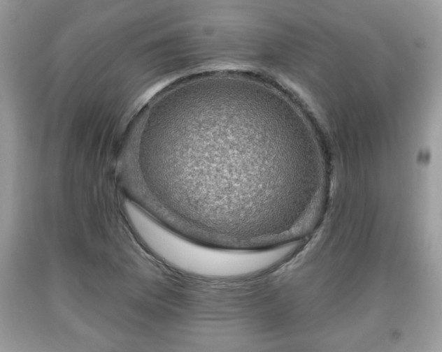 X0000091951169200709131158