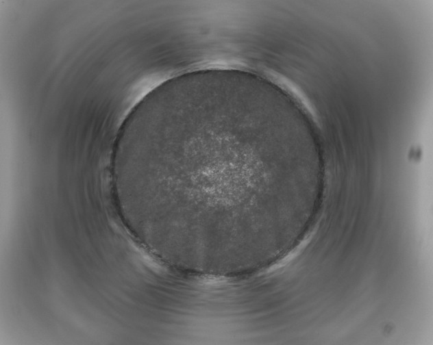 X0000091951170200709131158