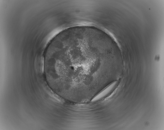 X0000091951171200709131158