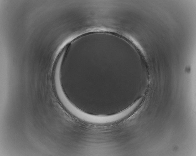 X0000091951173200709131158
