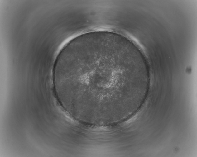 X0000091951174200709131158