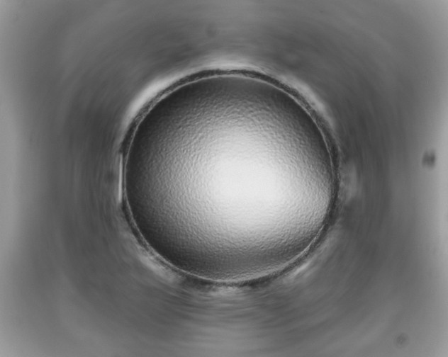 X0000091951175200709131158