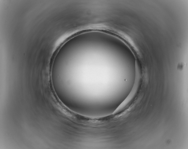 X0000091951176200709131158