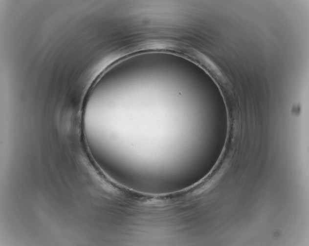 X0000091951178200709131158
