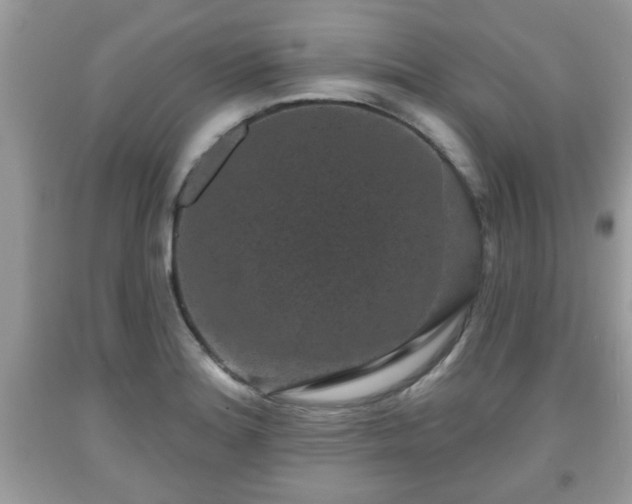 X0000091951180200709131157