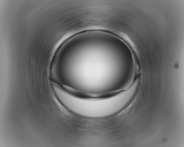 X0000091951181200709131157