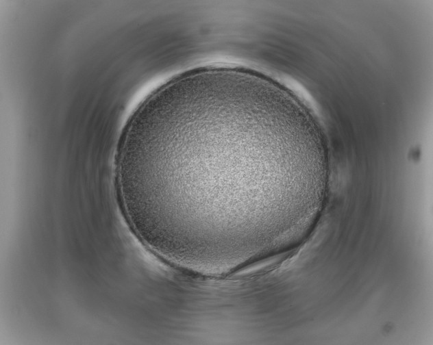 X0000091951183200709131157