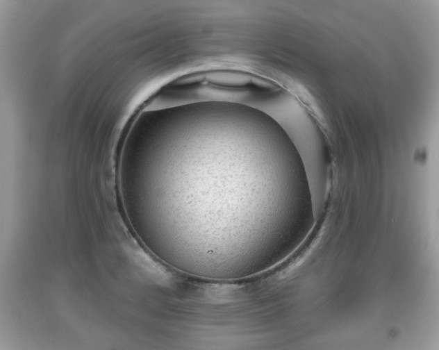 X0000091951184200709131157
