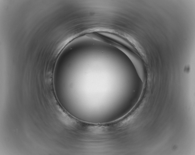 X0000091951185200709131157