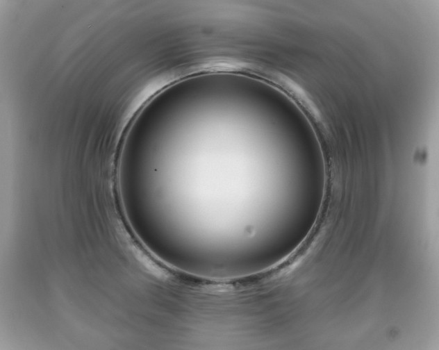 X0000091951186200709131157