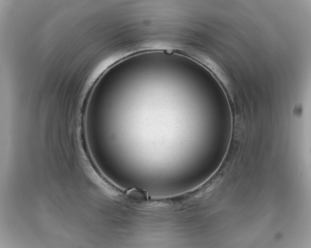 X0000091951187200709131157