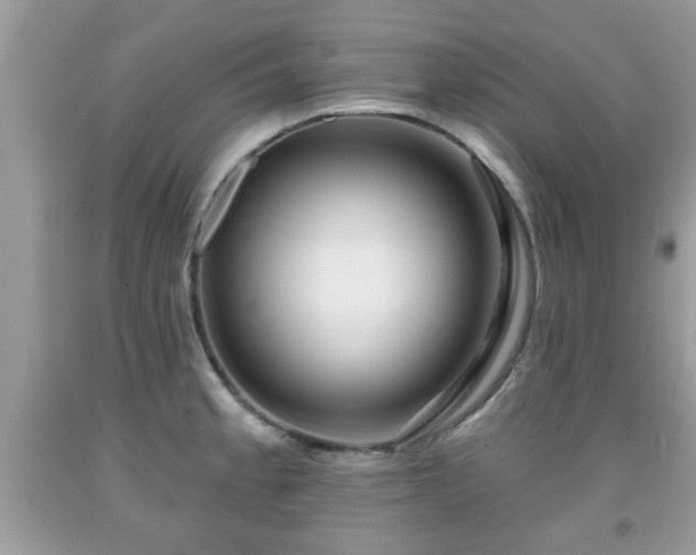 X0000091951189200709131157
