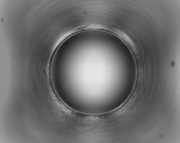 X0000091951190200709131157