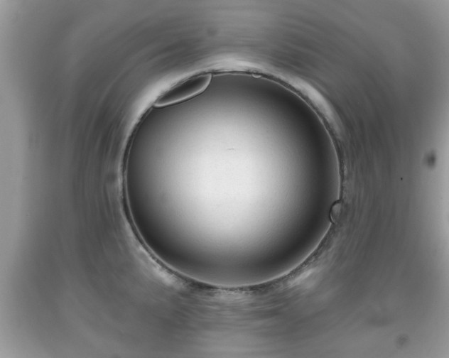 X0000091951191200709131157