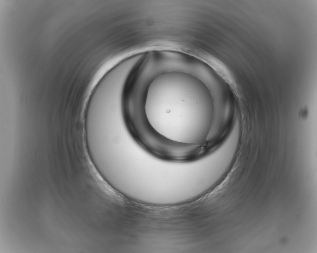 X0000091951192200709131157