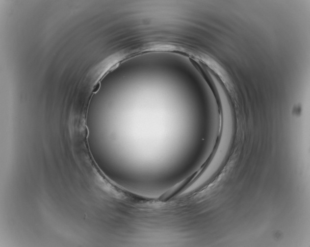 X0000091951193200709131157