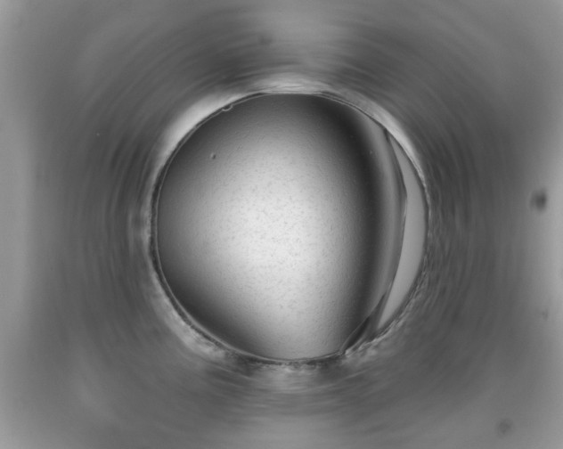 X0000091951195200709131157