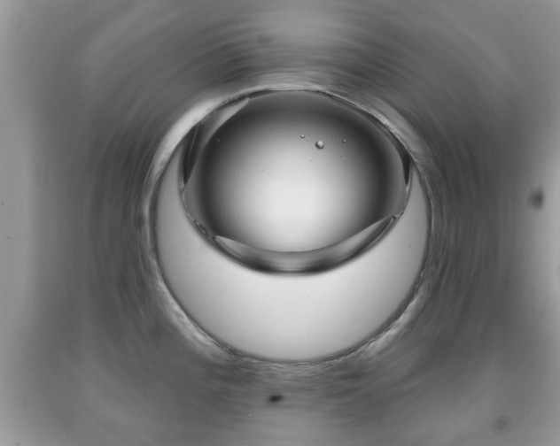 X0000091951196200709131157