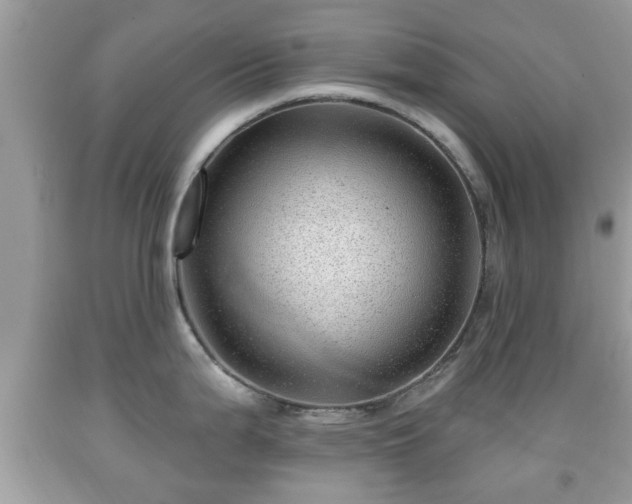X0000091951199200709131157