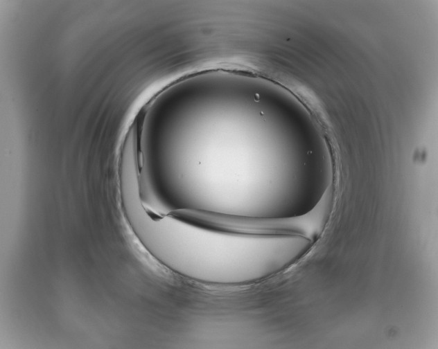 X0000091951200200709131157