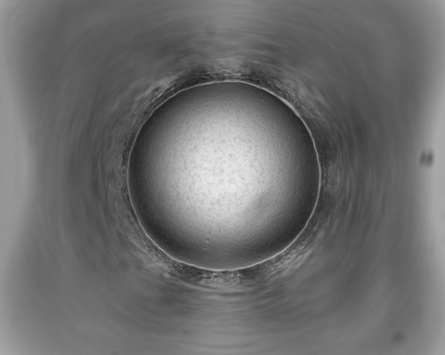 X0000091951201200709131156