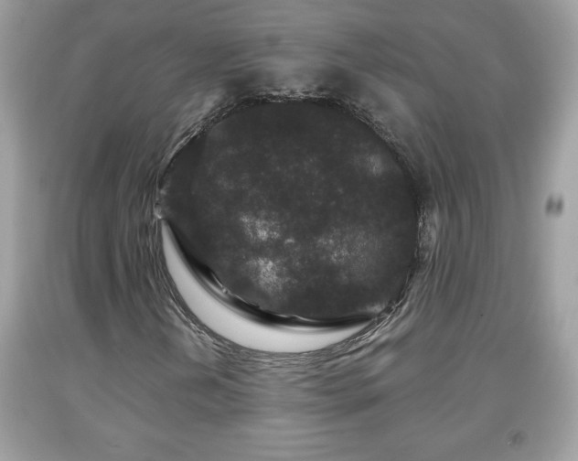 X0000091951202200709131156