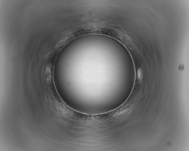 X0000091951203200709131157