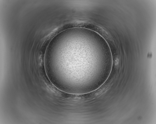 X0000091951204200709131157
