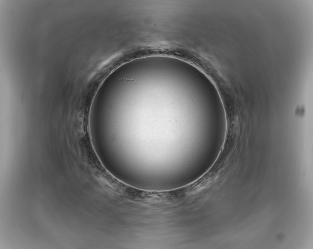 X0000091951205200709131157